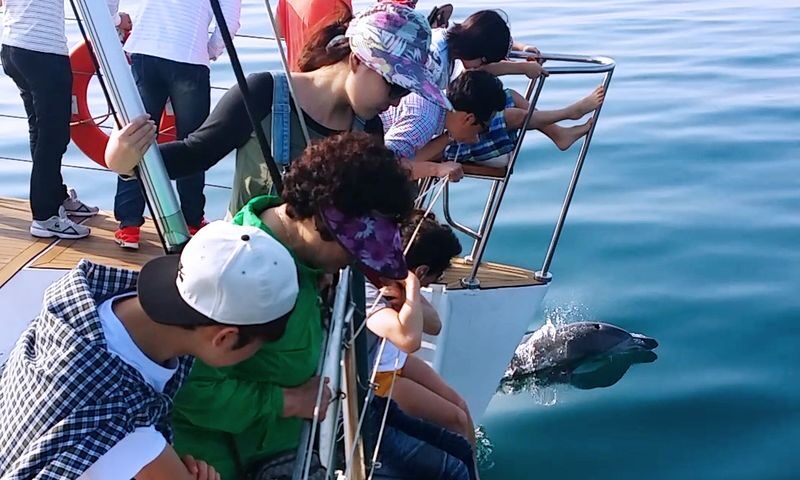 Gimnyeong Yacht Cruise Tour in Jeju - What happens from boarding to the return