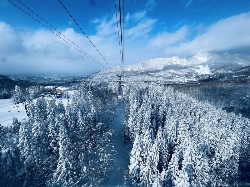 Ginzan Onsen + Yamagata Winery + Zao Ropeway + Mogami River Snow Viewing Boat 2-Day Tour (Hot spring hotel with 2 meals) - Takahata Winery: a brief taste of Yamagata