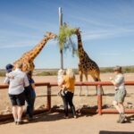 Giraffe Safari Experience and A Day at Monarto Safari Park - What the 50-minute session includes