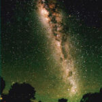 Glow Worm Tour Gold Coast with Japanese-Speaking Guide - Following the walk to the glowworm cave