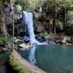 Glow Worms and Mount Tamborine Day Tour - The glow worm cave, a bright show in the dark