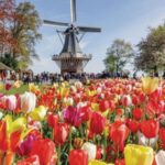 Go City: Amsterdam explorer pass - Spend a choice on Amsterdam’s canals