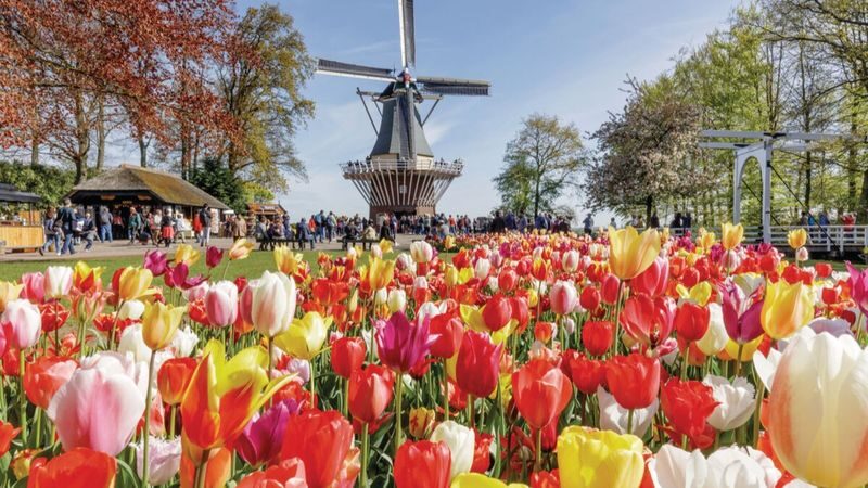 Go City: Amsterdam explorer pass - Spend a choice on Amsterdam’s canals