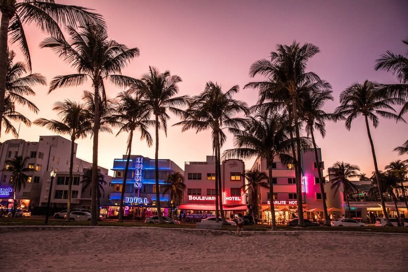 Go City - Miami All-Inclusive Pass - Choose between city sights, wildlife and water
