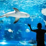 Go City - Philadelphia Explorer Pass - The Franklin Institute and other museum stops