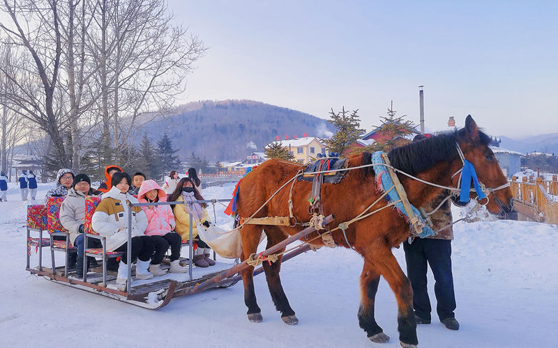 Go Wild Great Northeast | Harbin & Changbai Mountain & Snow Town & Lake Jingpo 6-Day Bus Tour - Day 1: Arrive in Harbin and get ready for the cold
