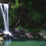 Gold Coast Glow Worm Night Tour (Chinese Guided) - Gold Coast pickup and the ride inland