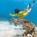 Great Barrier Reef Adventure Day Tour - Two stops at Mackay and Undine Reefs
