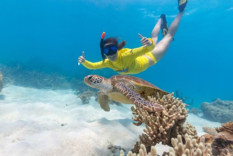 Great Barrier Reef Adventure Day Tour - Two stops at Mackay and Undine Reefs