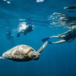 Great Barrier Reef Cruise from Airlie Beach or Daydream Island - Boarding at Port of Airlie