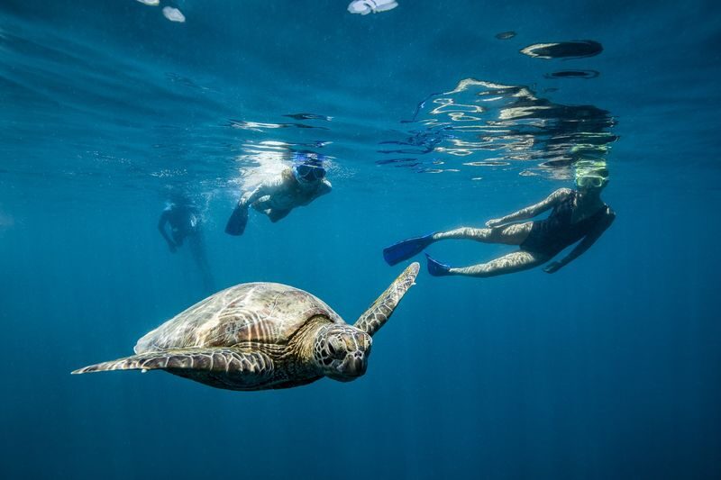 Great Barrier Reef Cruise from Airlie Beach or Daydream Island - Boarding at Port of Airlie