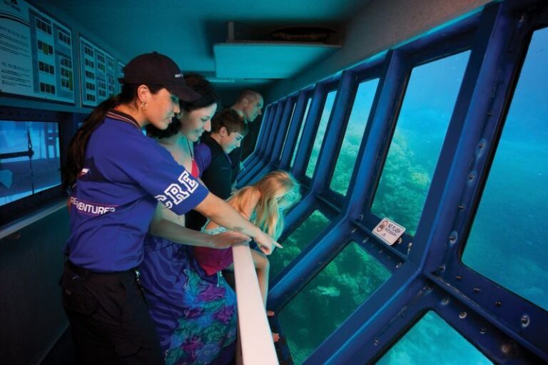 Great Barrier Reef Pontoon from Cairns including Snorkelling - Snorkelling and reef viewing
