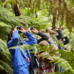 Great Ocean Road Coastal Spectacular & Wildlife Luxe Bus Tour - The Great Ocean Road’s big coastal views