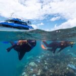 Green Island & Fitzroy Island One-day Coral Reef & Island Hopping Tour - Green Island: the longer island visit