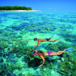 Green Island Reef Cruise Full Day Guided Tour from Cairns - Four and a Half Hours to Make the Island Yours