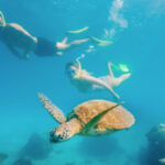 Green Island Snorkelling & Glass Bottom Boat Day Tour - On Green Island: rainforest, beach, and room to choose