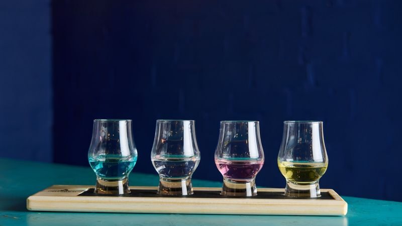 Greenwich Gin tasting and masterclass experience in London - Four gins, with botanicals to compare