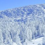 Group/Charter: Mt. Ginzan Onsen + Zao Snow Monsters + Fox Village: Exclusive Small Group Day Trip (From Sendai) - Picking the route that fits your day