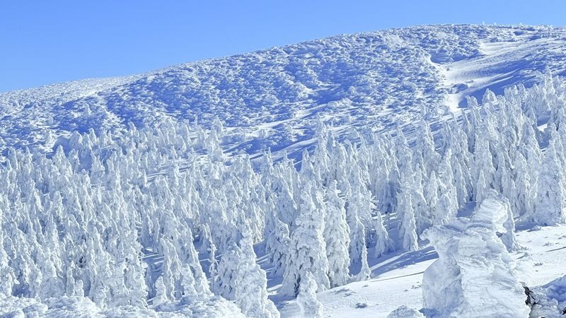 Group/Charter: Mt. Ginzan Onsen + Zao Snow Monsters + Fox Village: Exclusive Small Group Day Trip (From Sendai) - Picking the route that fits your day