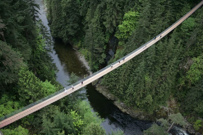 Grouse Mountain and Capilano Suspension Bridge Park Tour - Grouse Mountain and the Skyride