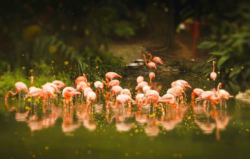 Guangzhou Zoo - Key points to know before you go
