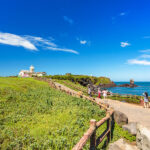 (Guaranteed Return) Jeju UNESCO Shore Excursion for Cruise Guests - Meeting Your Guide Inside the Cruise Terminal