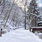 Gugok Ice Wall Adventure & Elysian Ski Day Tour from Seoul - Elysian gives you a choice, not a fixed lesson
