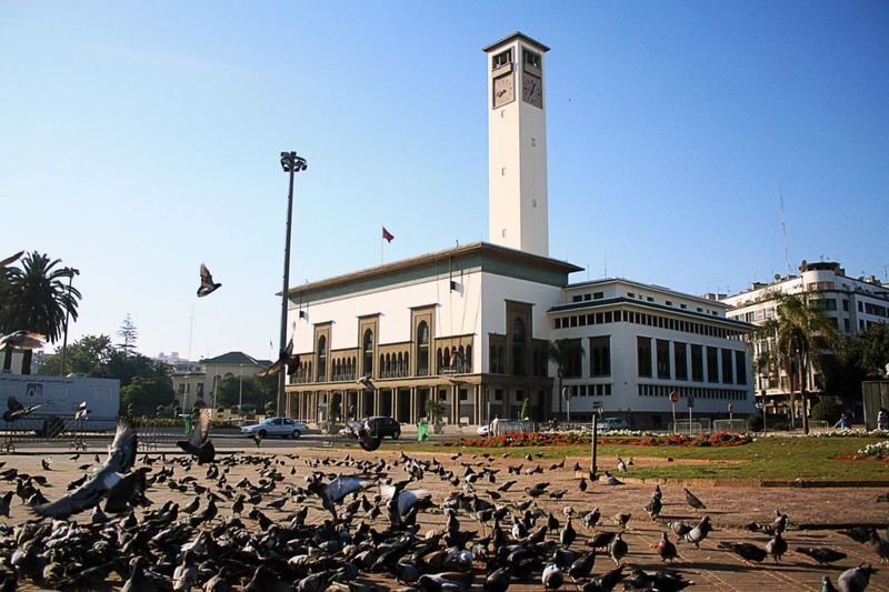 Guided Sightseeing Tour in Casablanca - Habbous: a change of pace from the main squares