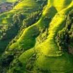 Guilin 5-Day Longji and Li River Landscape Tour - Day 2: Longji’s terraces reward a full day