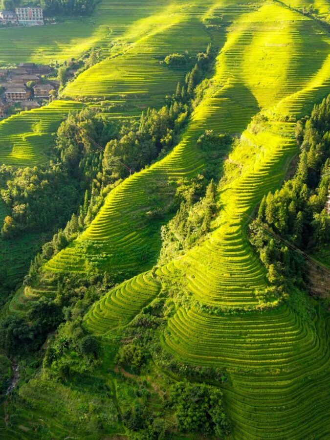 Guilin 5-Day Longji and Li River Landscape Tour - Day 2: Longji’s terraces reward a full day