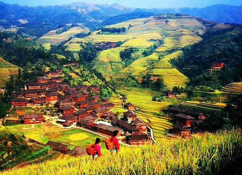 Guilin Departure Longji Terraces Pingan Zhuang Village, Changfa Village, Jinkeng Terraces 1-Day Tour - Jinkeng: steep slopes and wide views