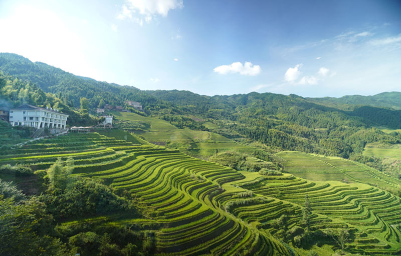 Guilin Longji Rice Terraces Day Tour (Chinese/English Guide) - The drive from Guilin to the ticket office