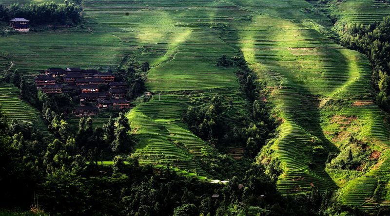 Guilin Longji Scenic Area + Huangluo Yao Village One-Day Tour - The day from Guilin to the mountains