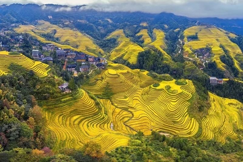 Guilin Longji Terraces & Huangluo Yao Village Day Tour - Lunch: a simple meal, with the bill separate