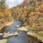 Gunma Day Trip: Autumn Fukiware Falls Maple Viewing/Winter Tambara Ski Park Snow Play & Fruit Picking Experience (Departing from Shinjuku, Tokyo) - The long ride out from Shinjuku