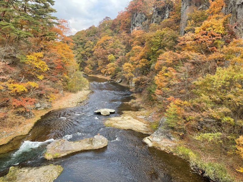 Gunma Day Trip: Autumn Fukiware Falls Maple Viewing/Winter Tambara Ski Park Snow Play & Fruit Picking Experience (Departing from Shinjuku, Tokyo) - The long ride out from Shinjuku