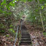Gunung Gading National Park Day Tour in Sarawak - Learning what the Rafflesia needs