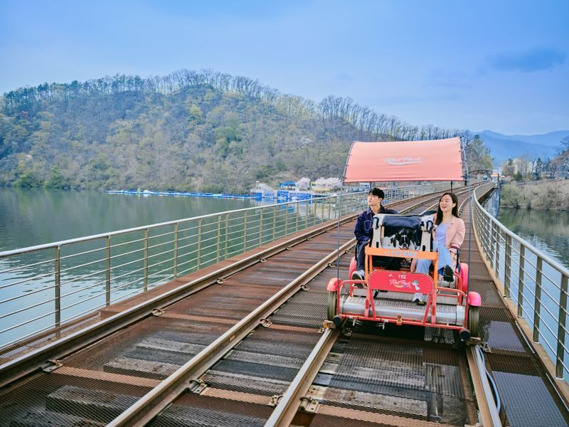 Gyeonggang Rail Bike Experience Ticket - Pedaling through the trees