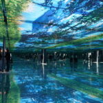 Gyeonggi Begonia Bird Park Ticket - Take a slower turn through the themed gardens