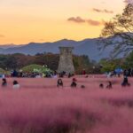 Gyeongju Ancient Architecture UNESCO Sites One-Day Private Tour - Bulguksa Temple and the architecture focus