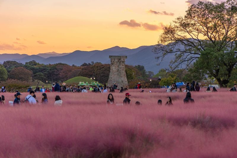 Gyeongju Ancient Architecture UNESCO Sites One-Day Private Tour - Bulguksa Temple and the architecture focus