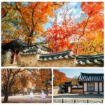 Gyeongju Autumn Foliage Day Tour from Busan - Bomun Tourist Complex: scenery, a walk, and a lunch break