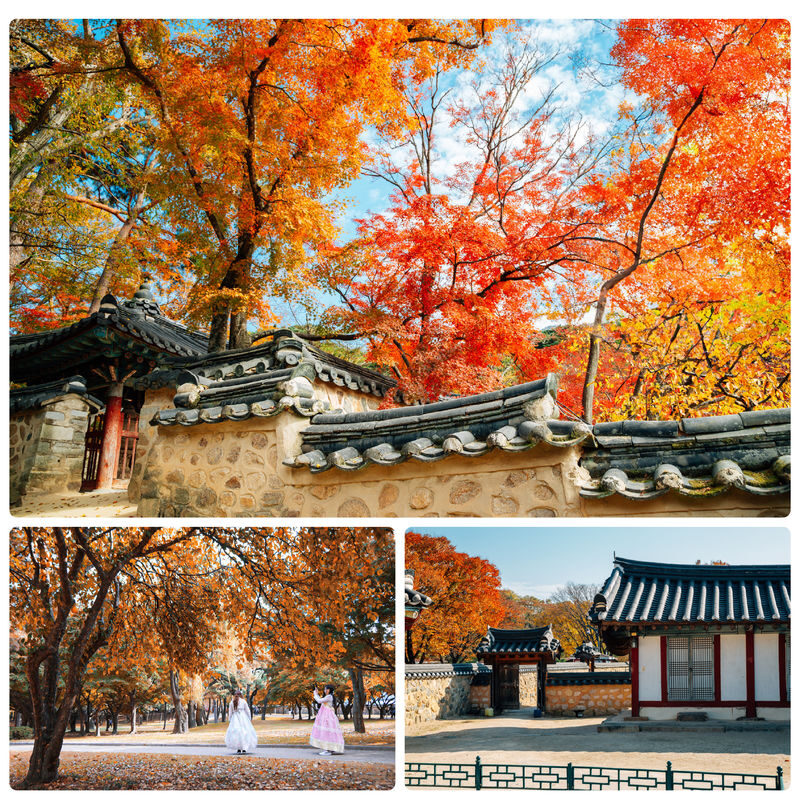 Gyeongju Autumn Foliage Day Tour from Busan - Bomun Tourist Complex: scenery, a walk, and a lunch break