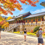 Gyeongju Cultural & Historic Legacy Tour from Busan - Lunch is a useful pause, not a fixed menu