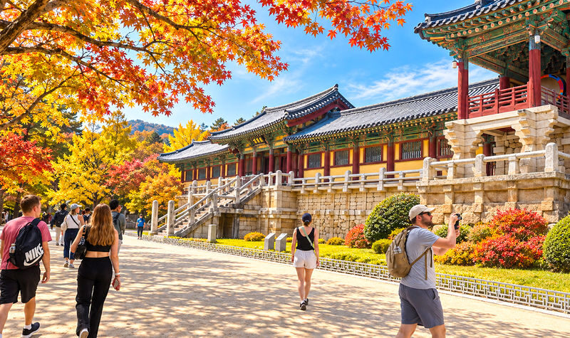 Gyeongju Cultural & Historic Legacy Tour from Busan - Lunch is a useful pause, not a fixed menu
