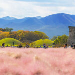 Gyeongju Full-Day UNESCO Sites Guided Tour - Bulguksa Temple rewards a slower look, if the schedule allows