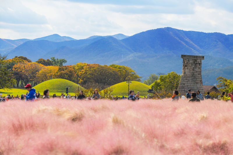 Gyeongju Full-Day UNESCO Sites Guided Tour - Bulguksa Temple rewards a slower look, if the schedule allows