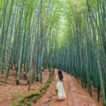 Gyeongju UNESCO Authentic Tour from Busan - Ahopsan Forest: bamboo, quiet paths and an extra fee