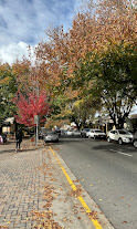 Hahndorf & Hills Full-day Tour - Hahndorf, the main event