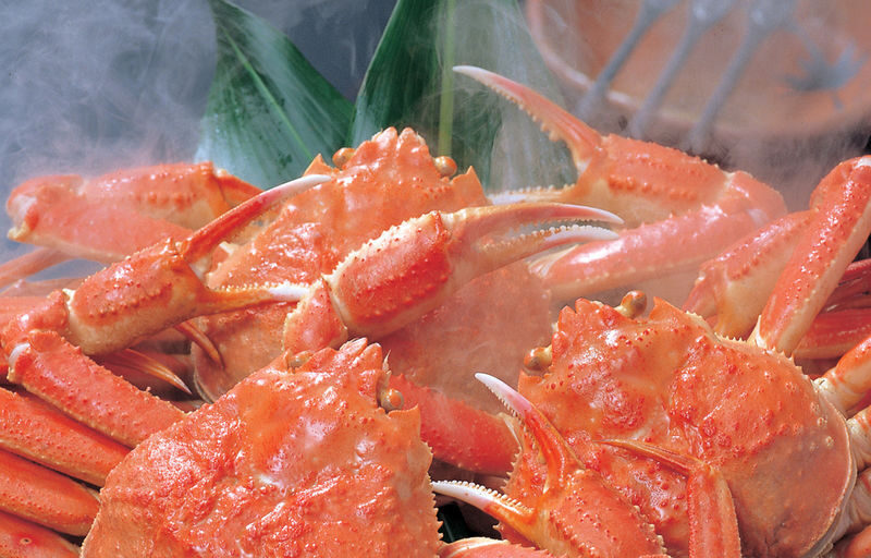 Hakata Kora Honten: A Crab Cuisine Culinary Experience - What comes with the Experience Package